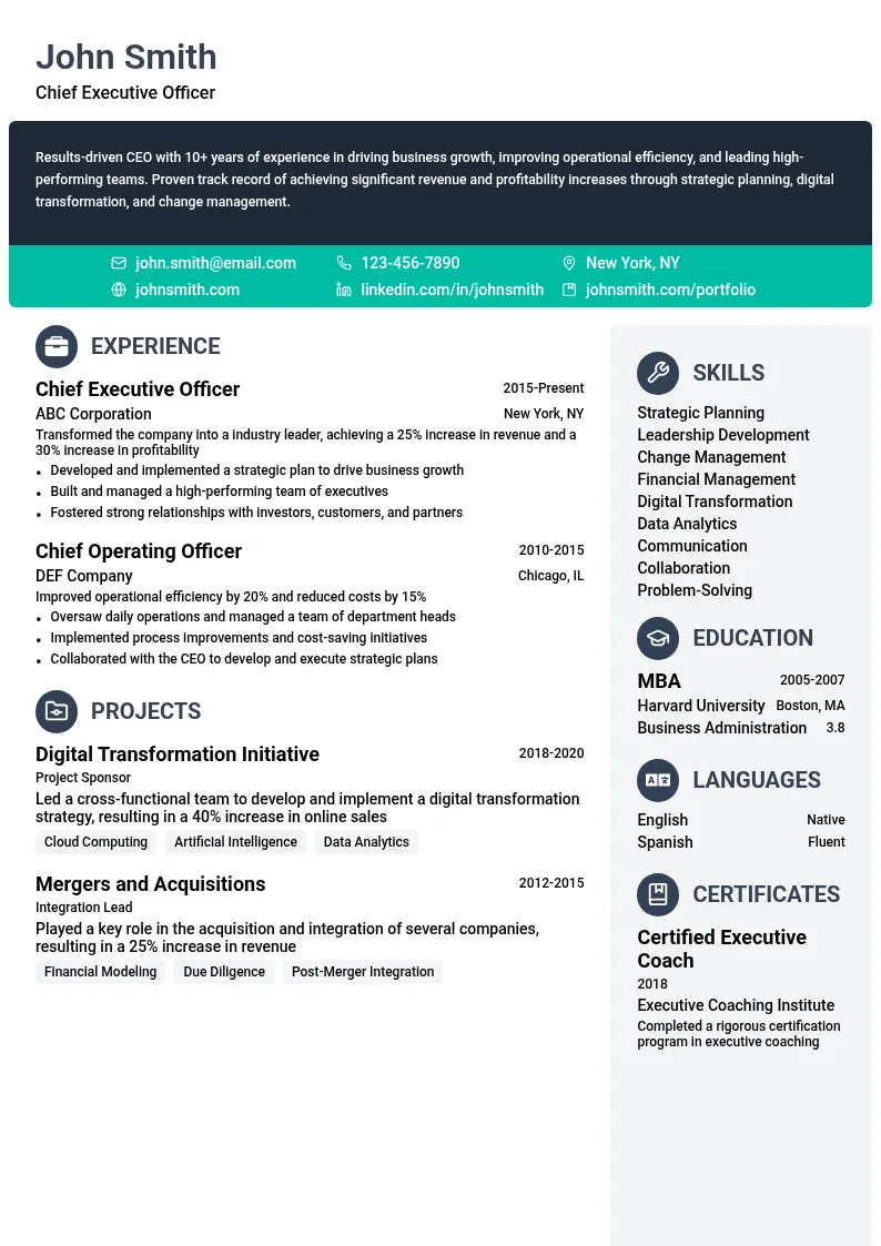 Chief Executive Officer resume example