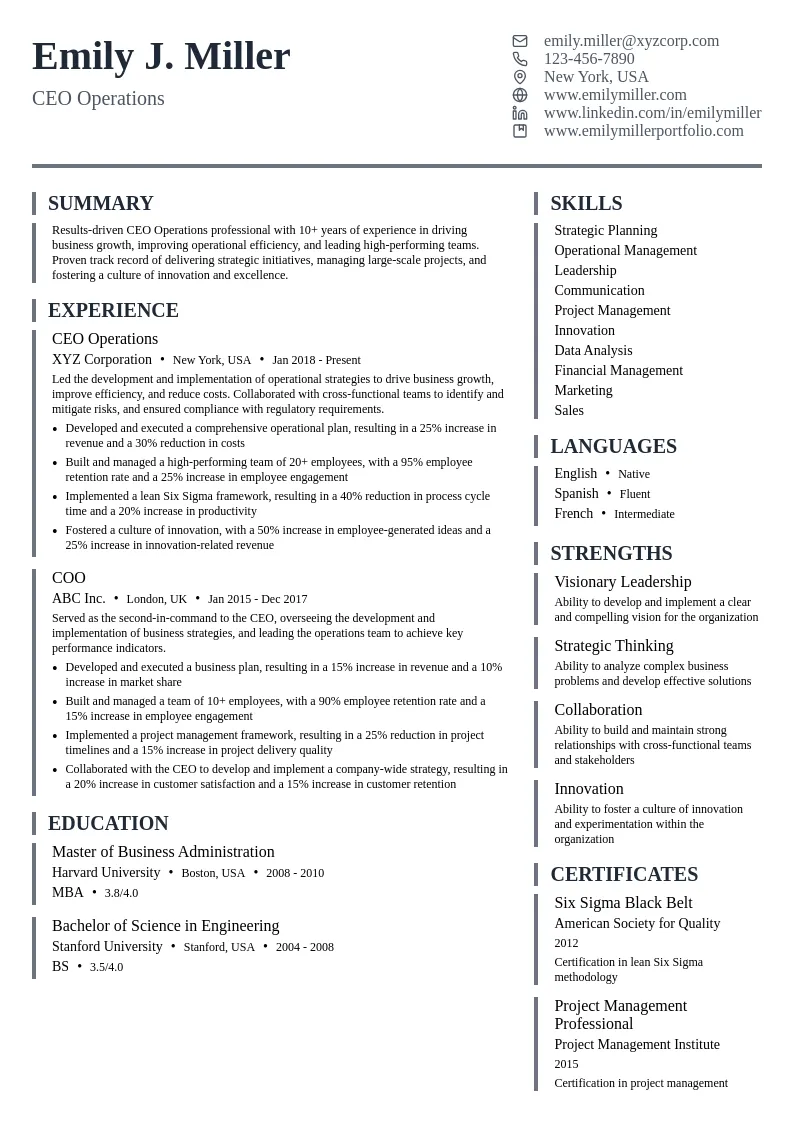 CEO Operations resume example