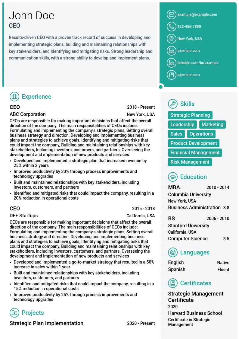 CEO Strategy resume example