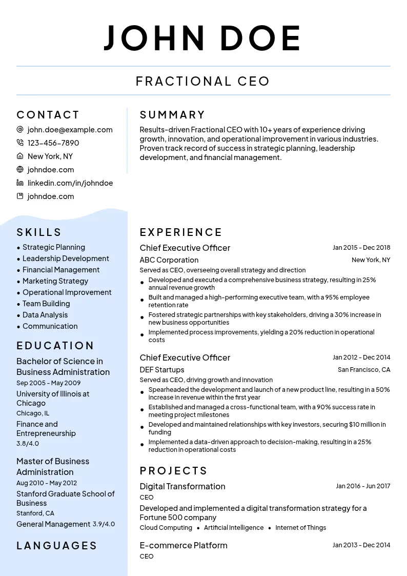 Fractional CEO resume example