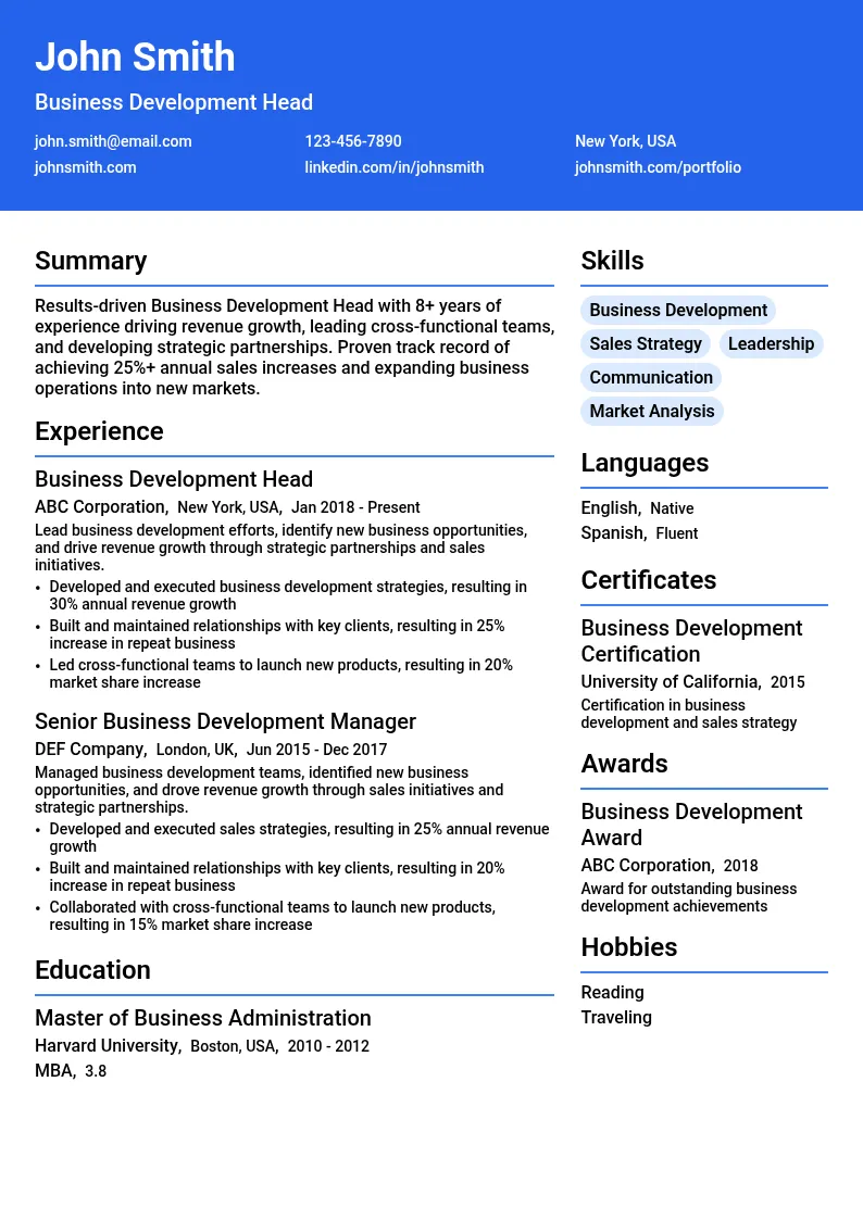 Business Development Head resume example