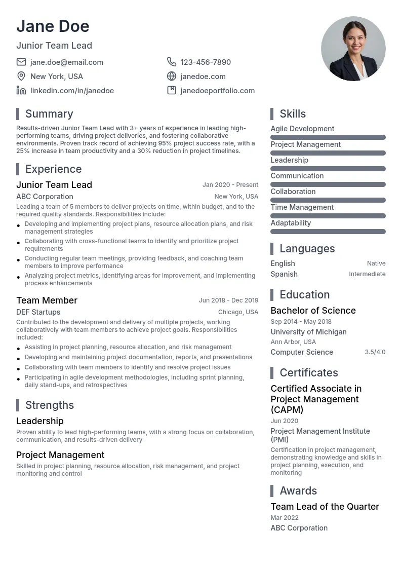 Junior Team Lead resume example