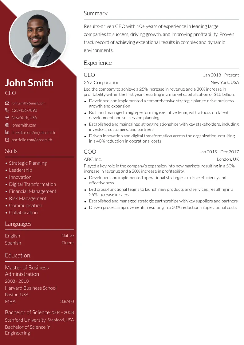 CEO of a Large Company resume example
