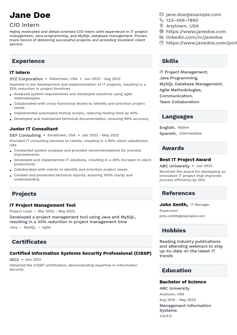 CIO Intern resume example