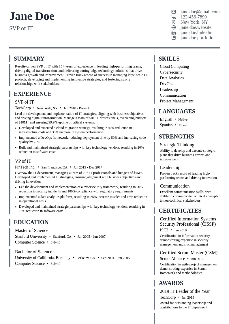 SVP of IT resume example