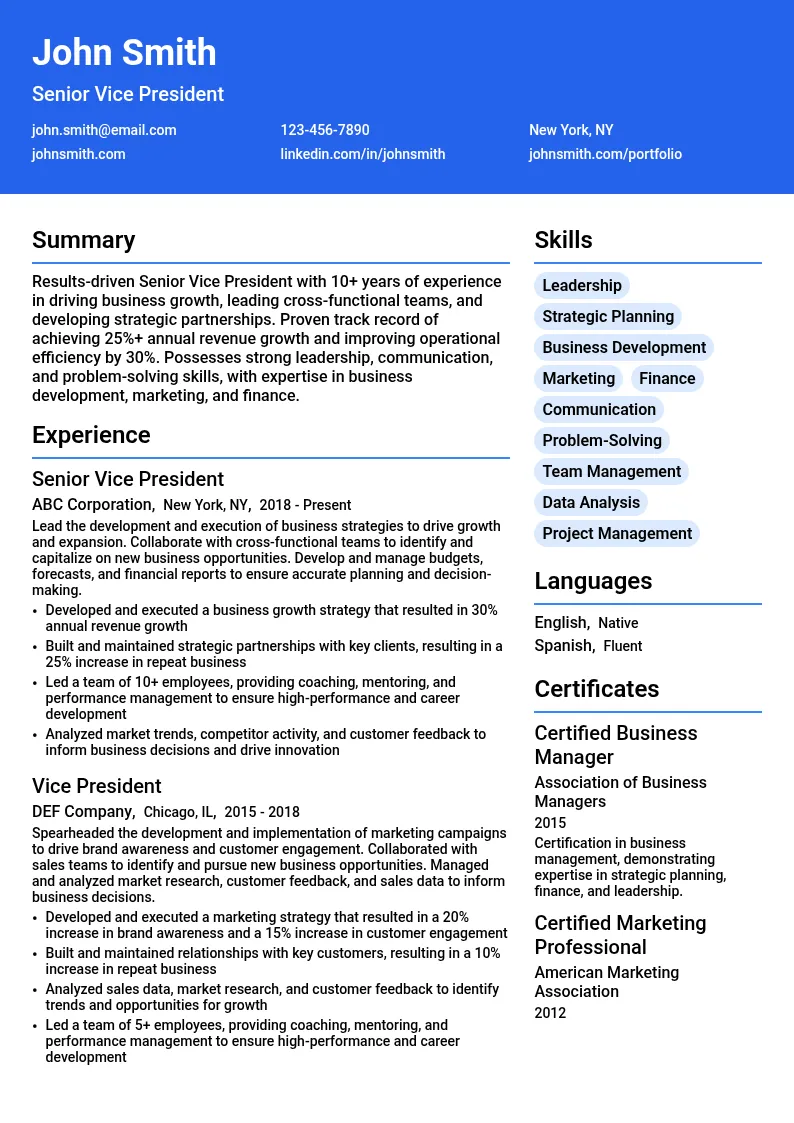Senior Vice President resume example