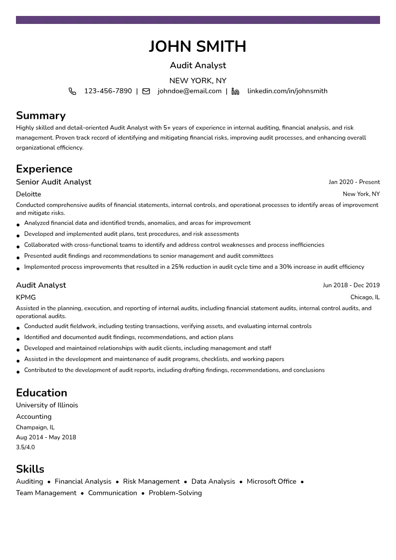 Audit Analyst resume example
