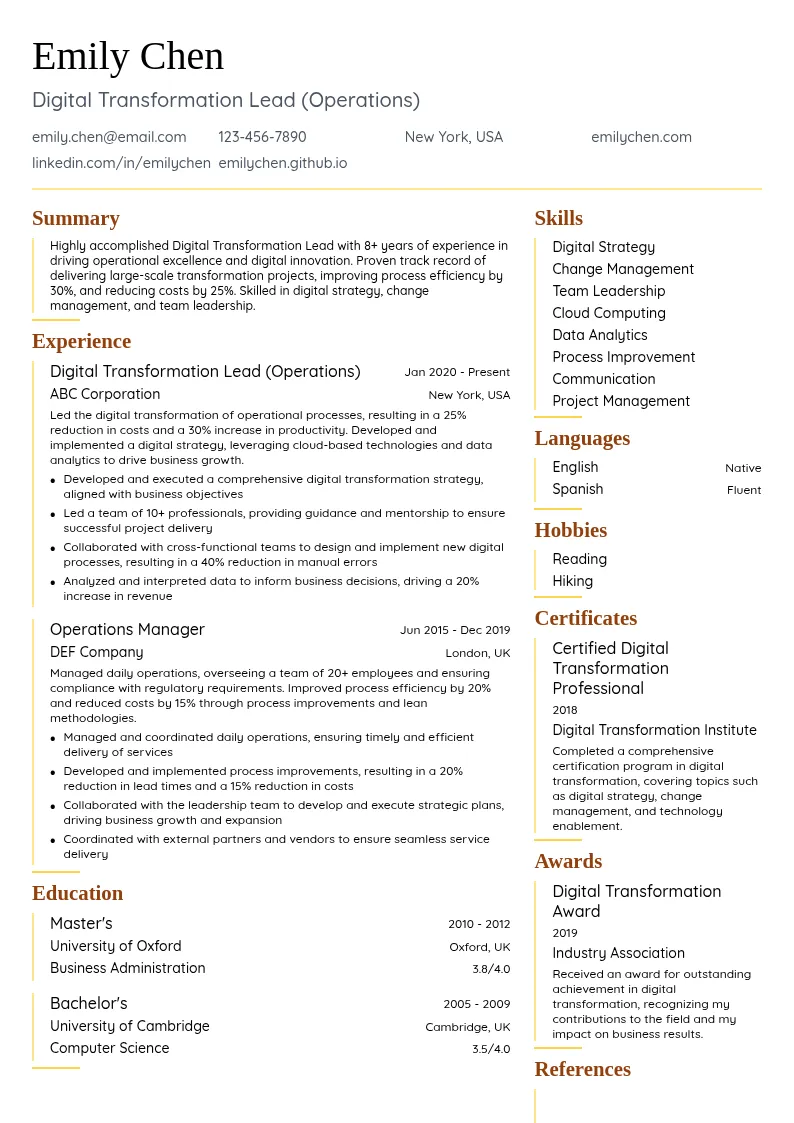 Digital Transformation Lead (Operations) resume example