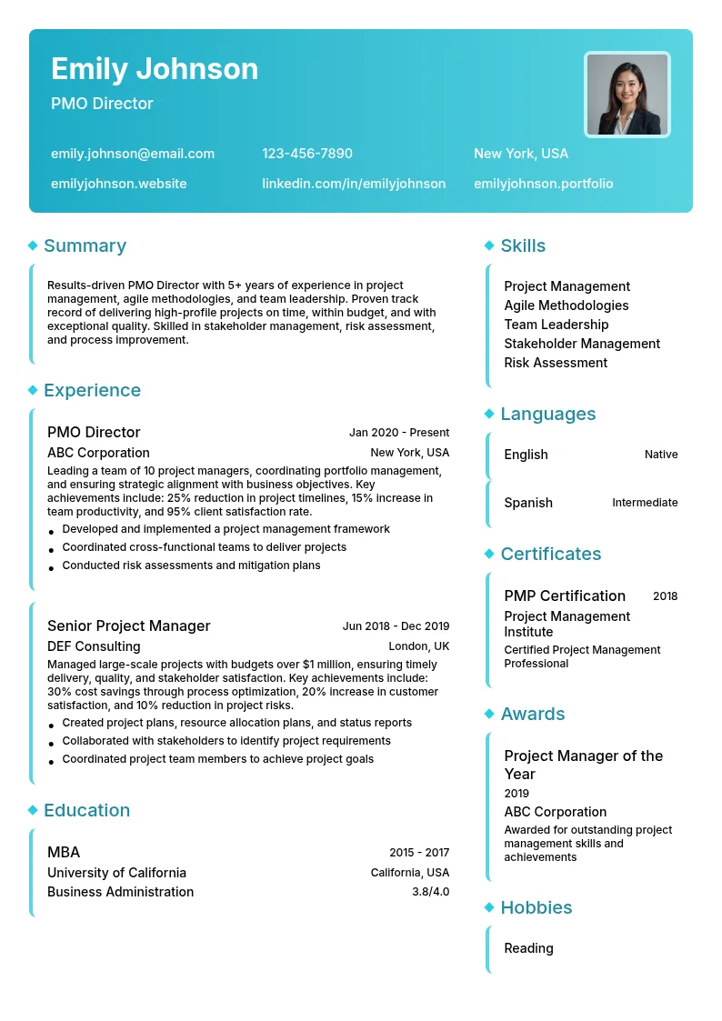 PMO Director resume example