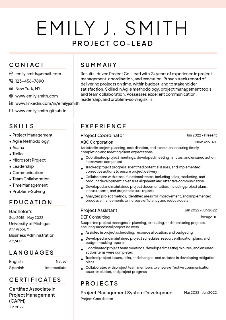 Project Co-Lead resume example