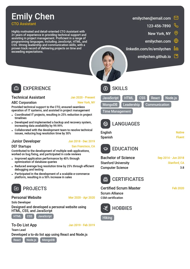 CTO Assistant resume example