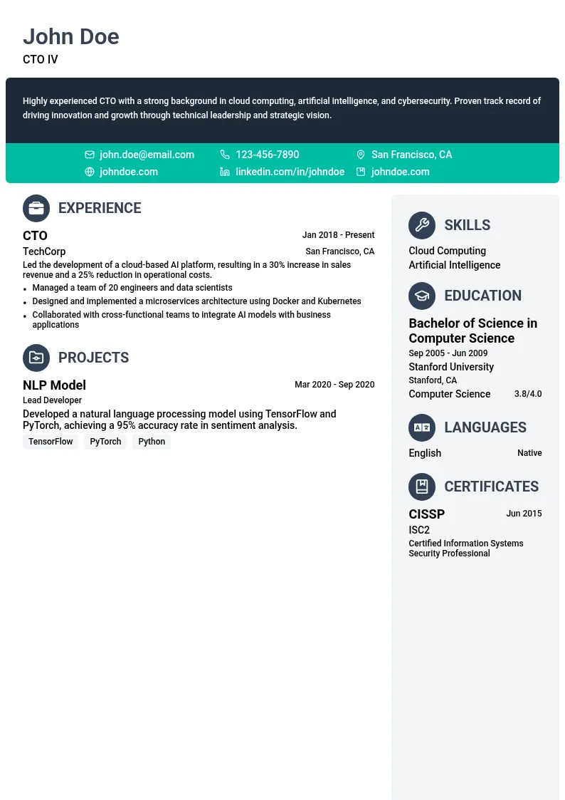 CTO IV resume example