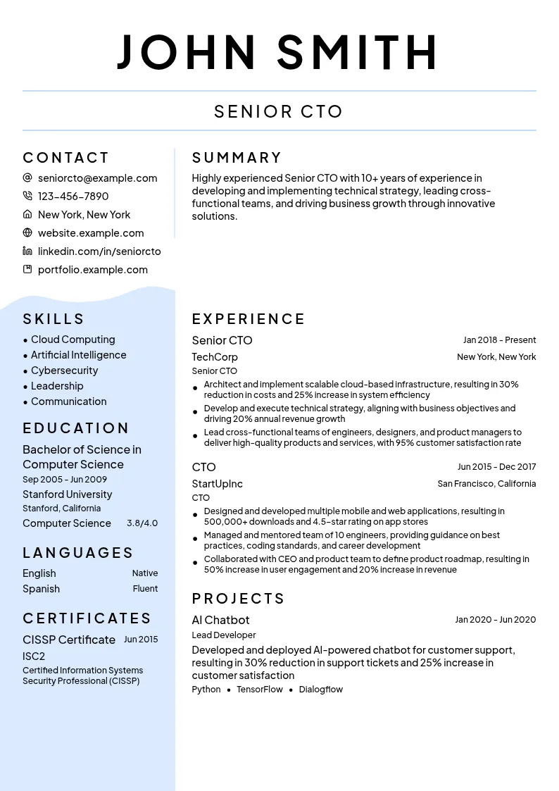 Senior CTO resume example
