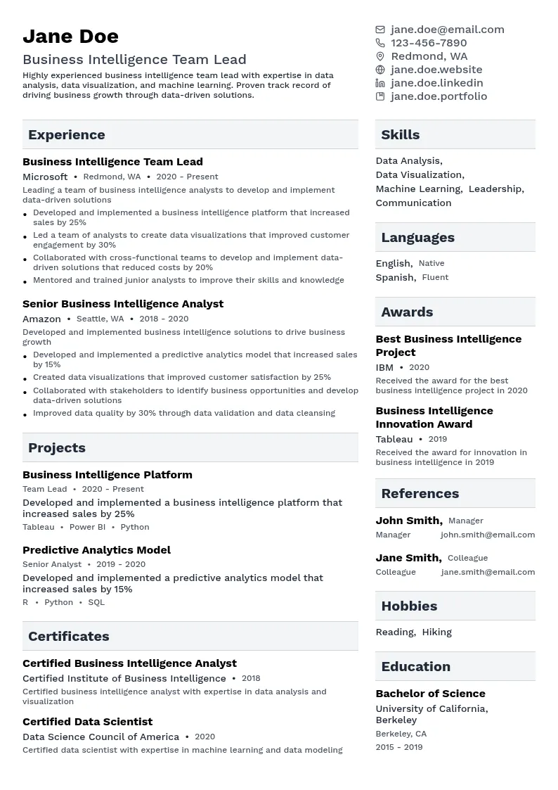 Business Intelligence Team Lead resume example