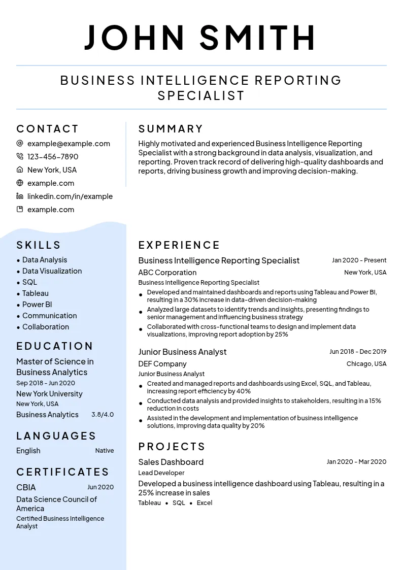 Business Intelligence Reporting Specialist resume example