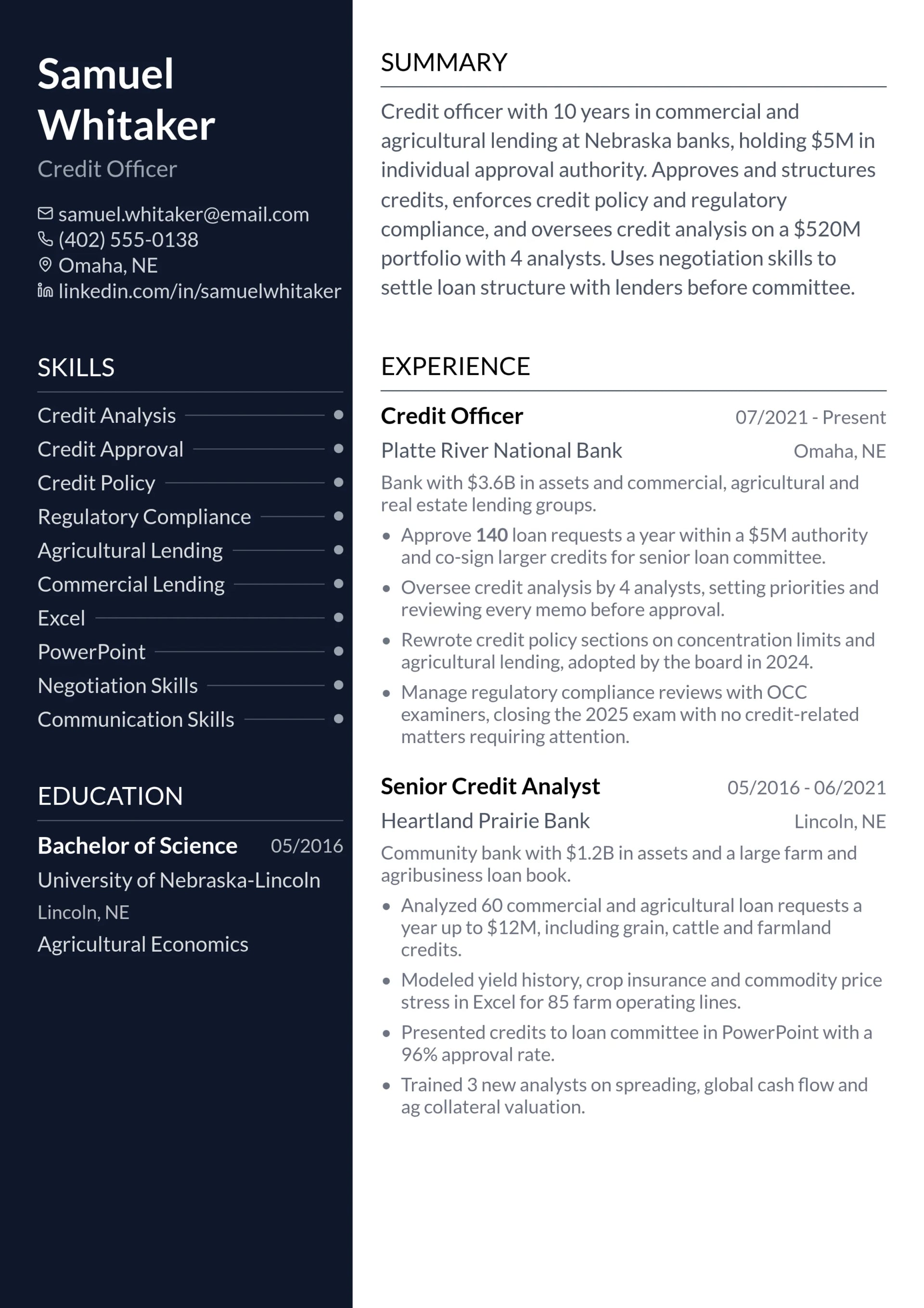 Credit Officer resume example