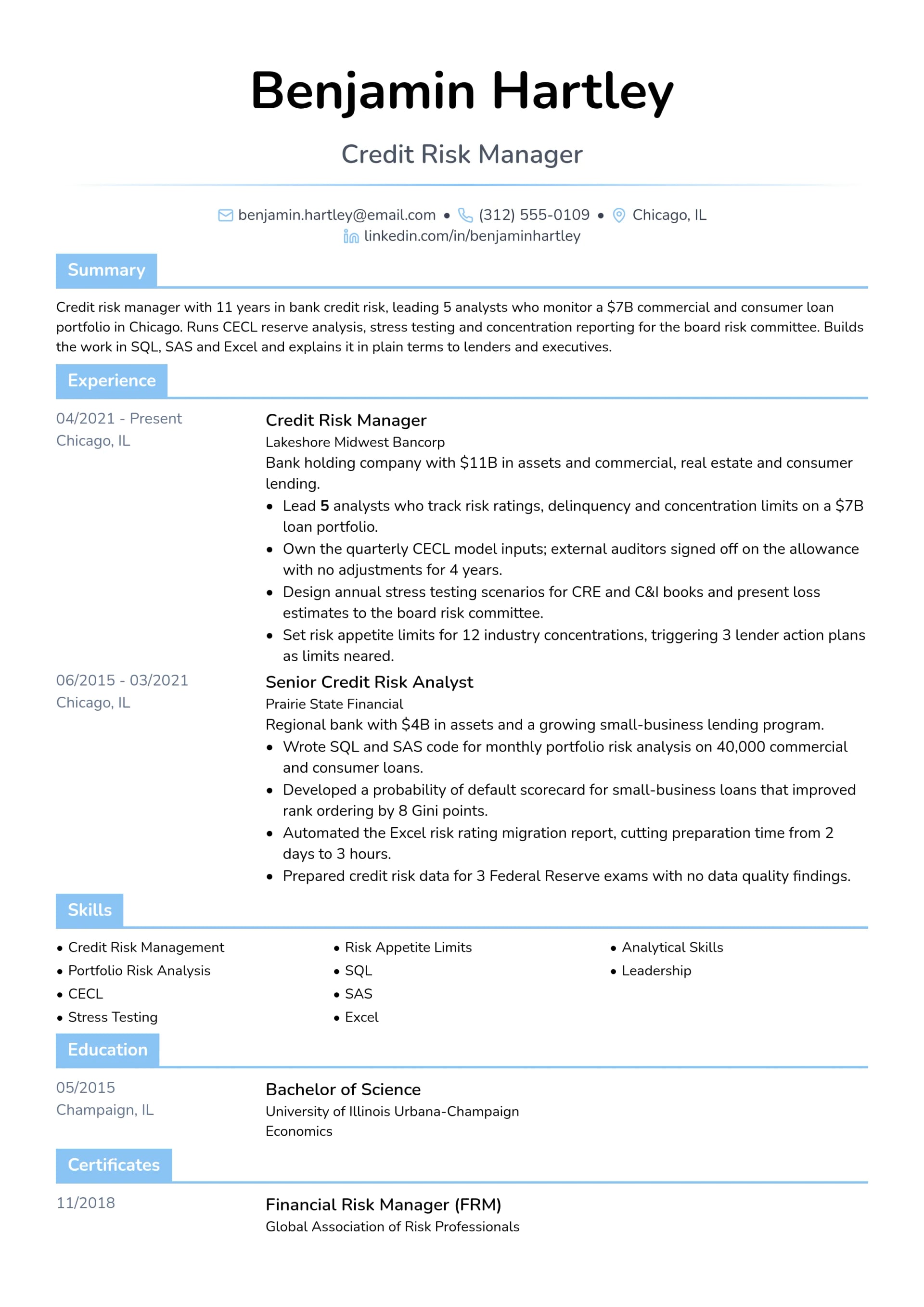 Credit Risk Manager resume example