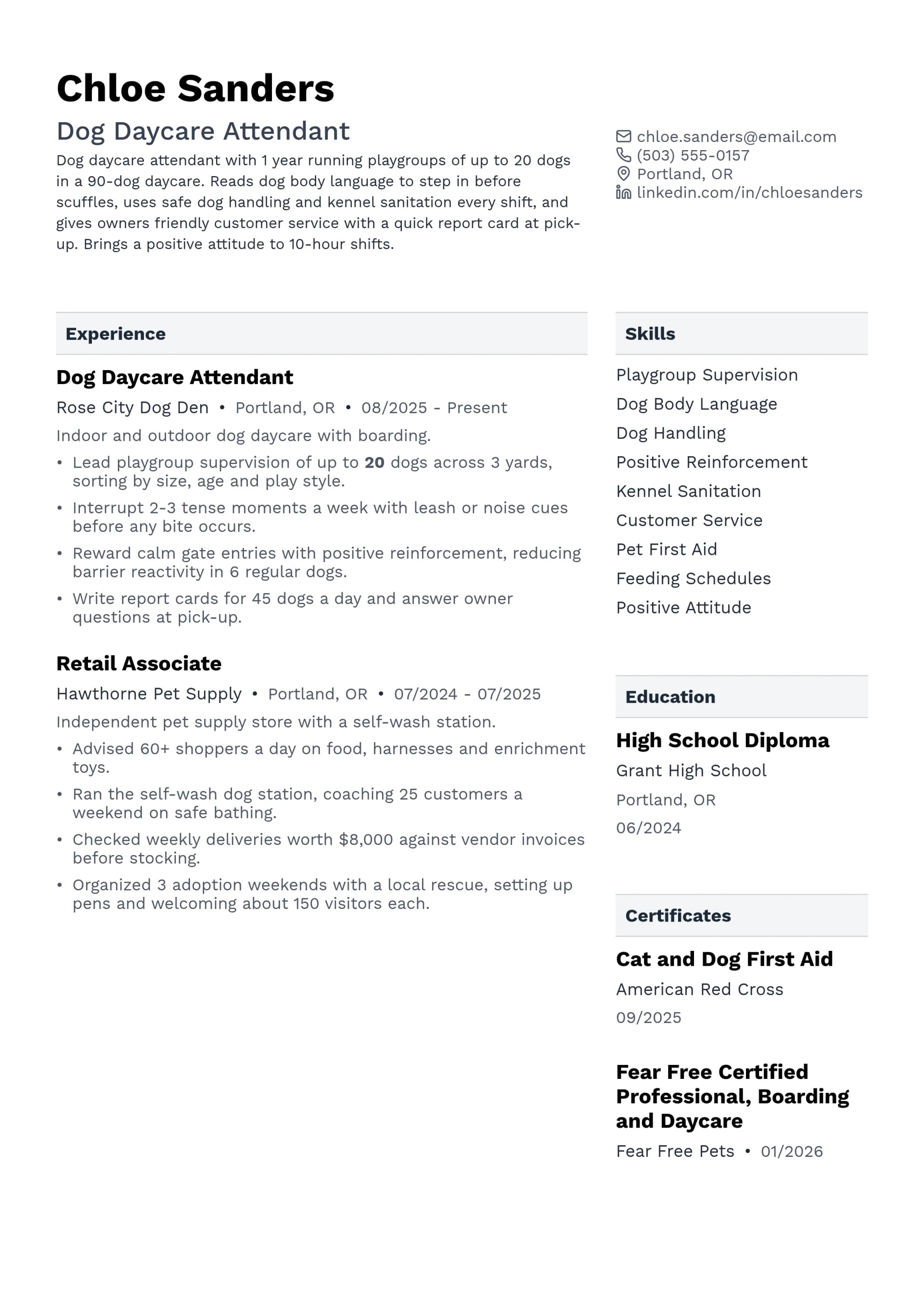 Dog Daycare Attendant resume example