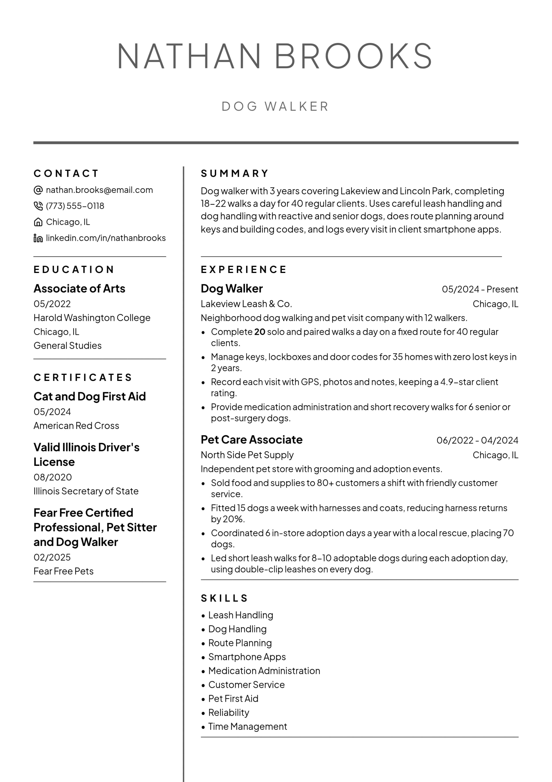 Dog Walker resume example