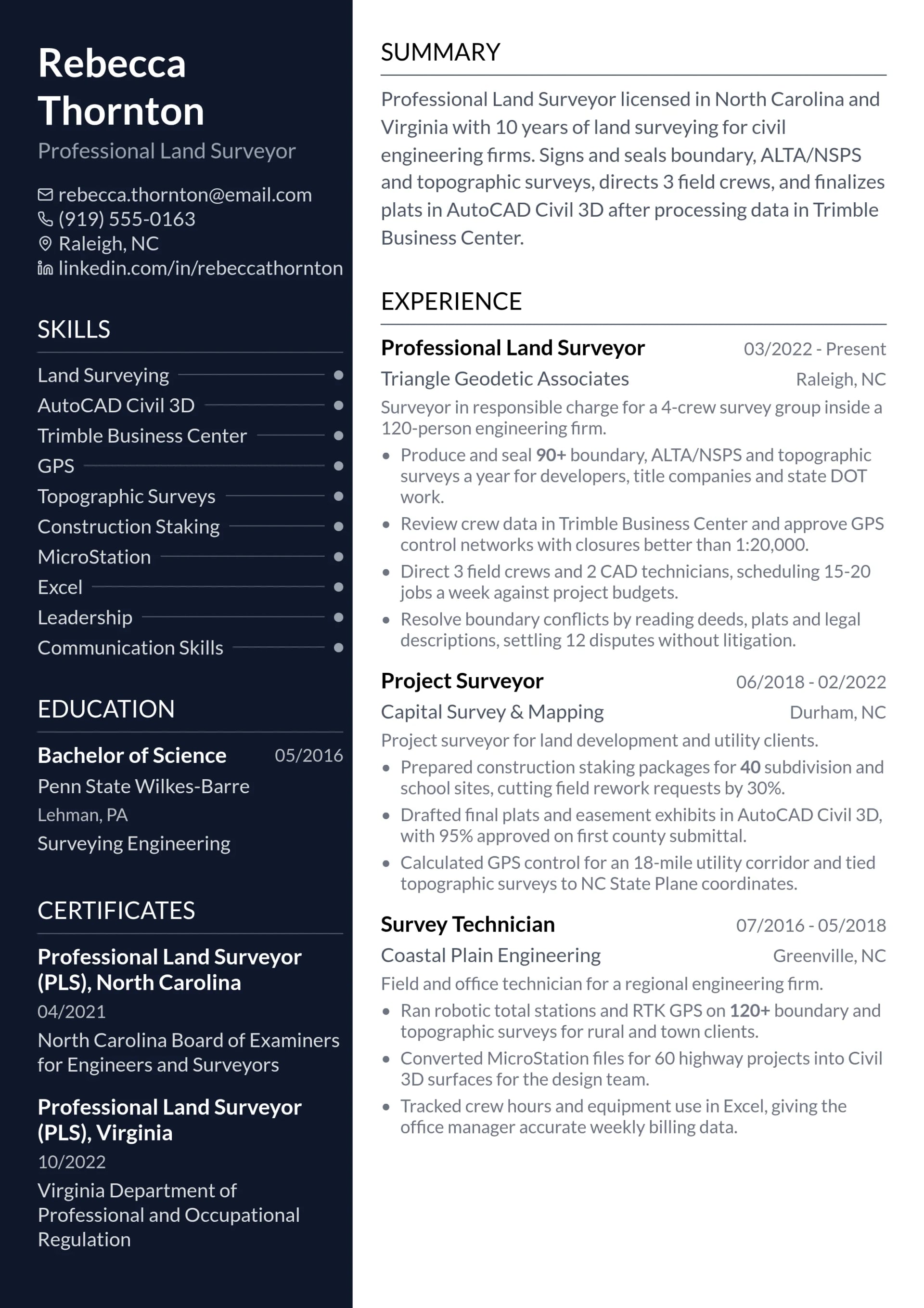 Professional Land Surveyor resume example