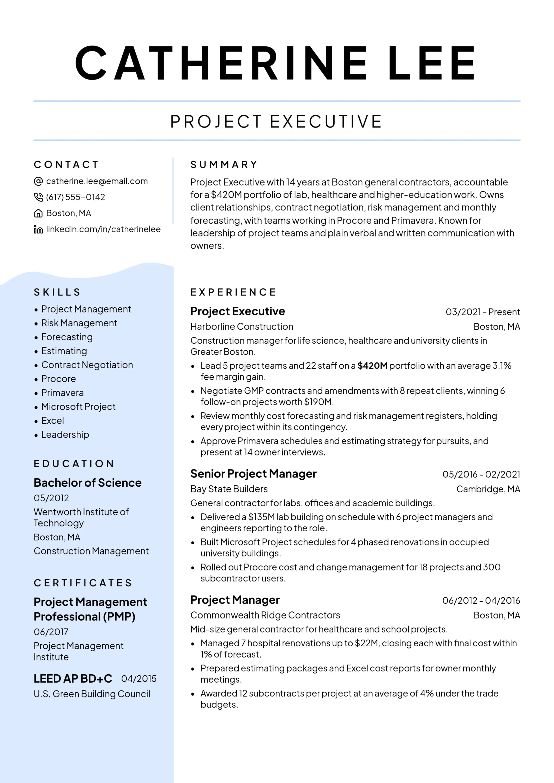 Project Executive resume example