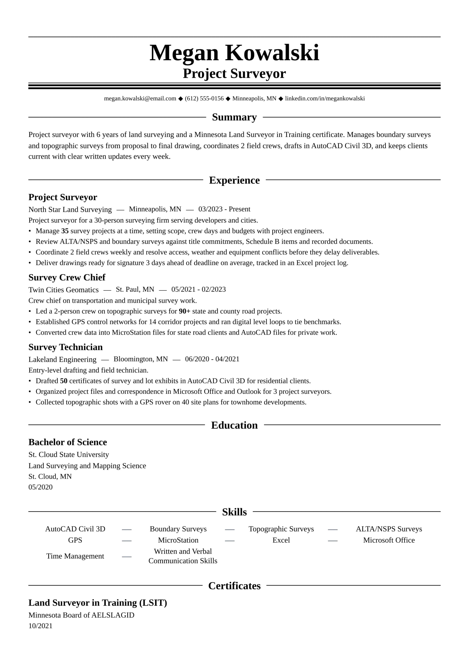 Project Surveyor resume example