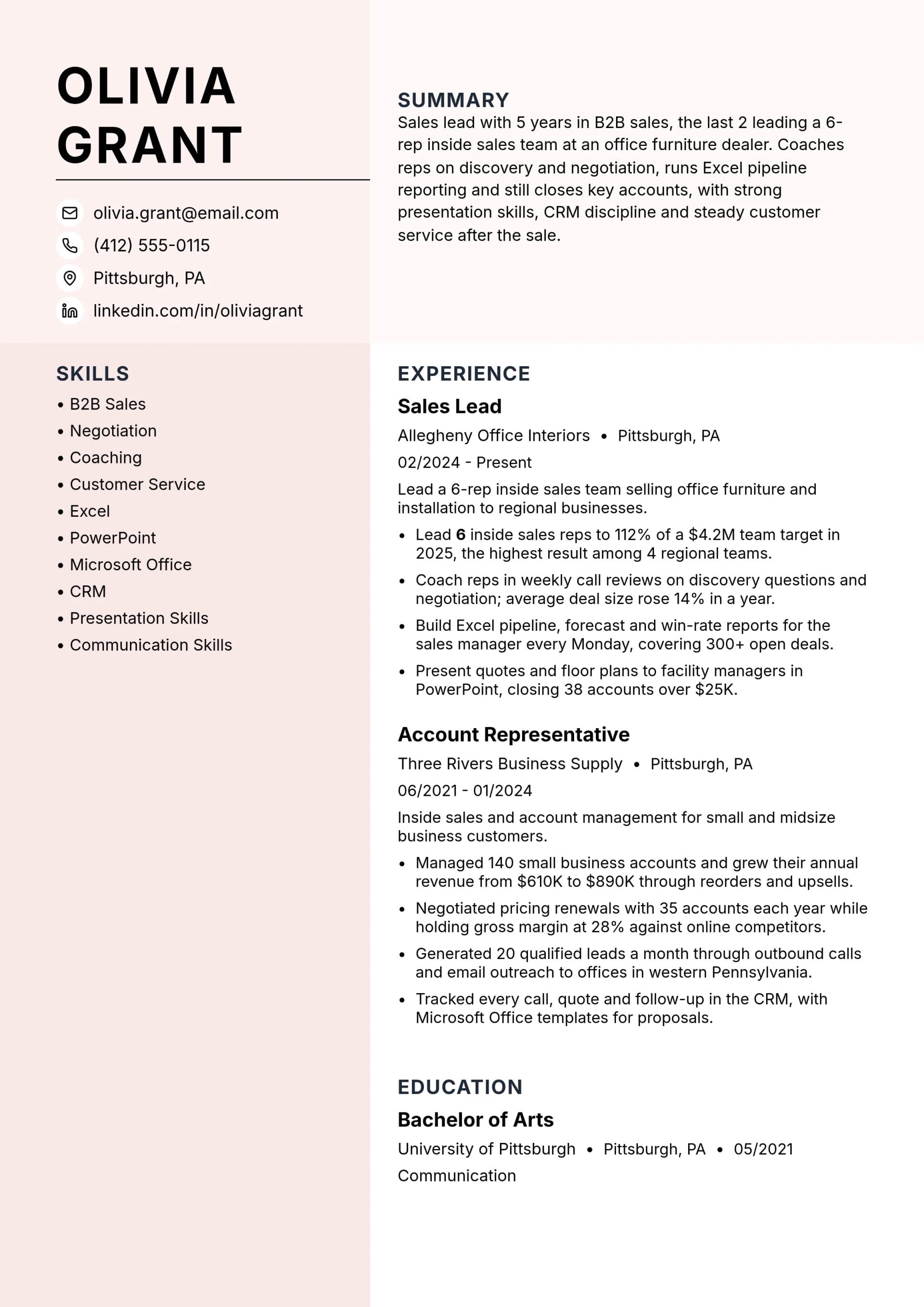 Sales Lead resume example