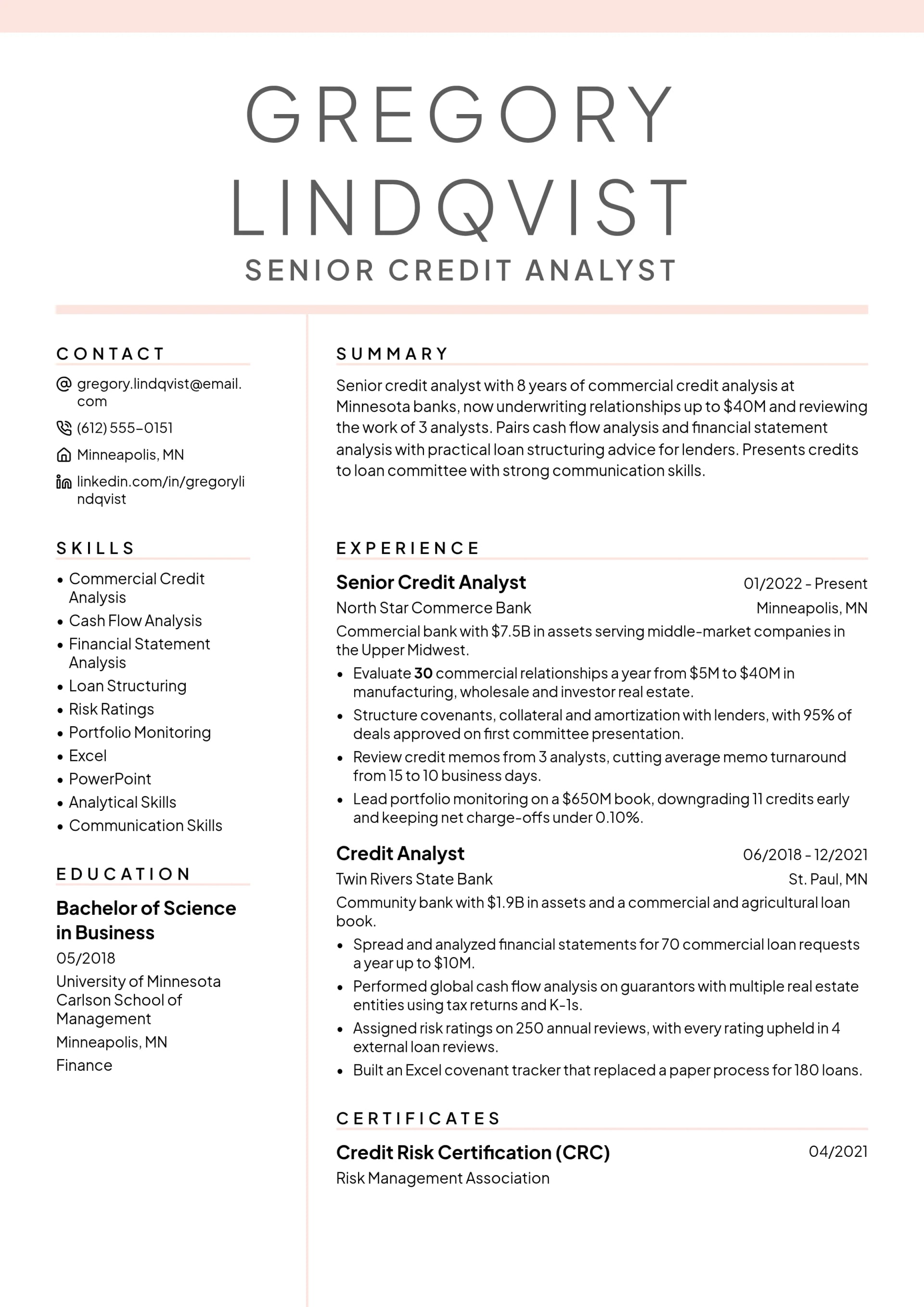 Senior Credit Analyst resume example
