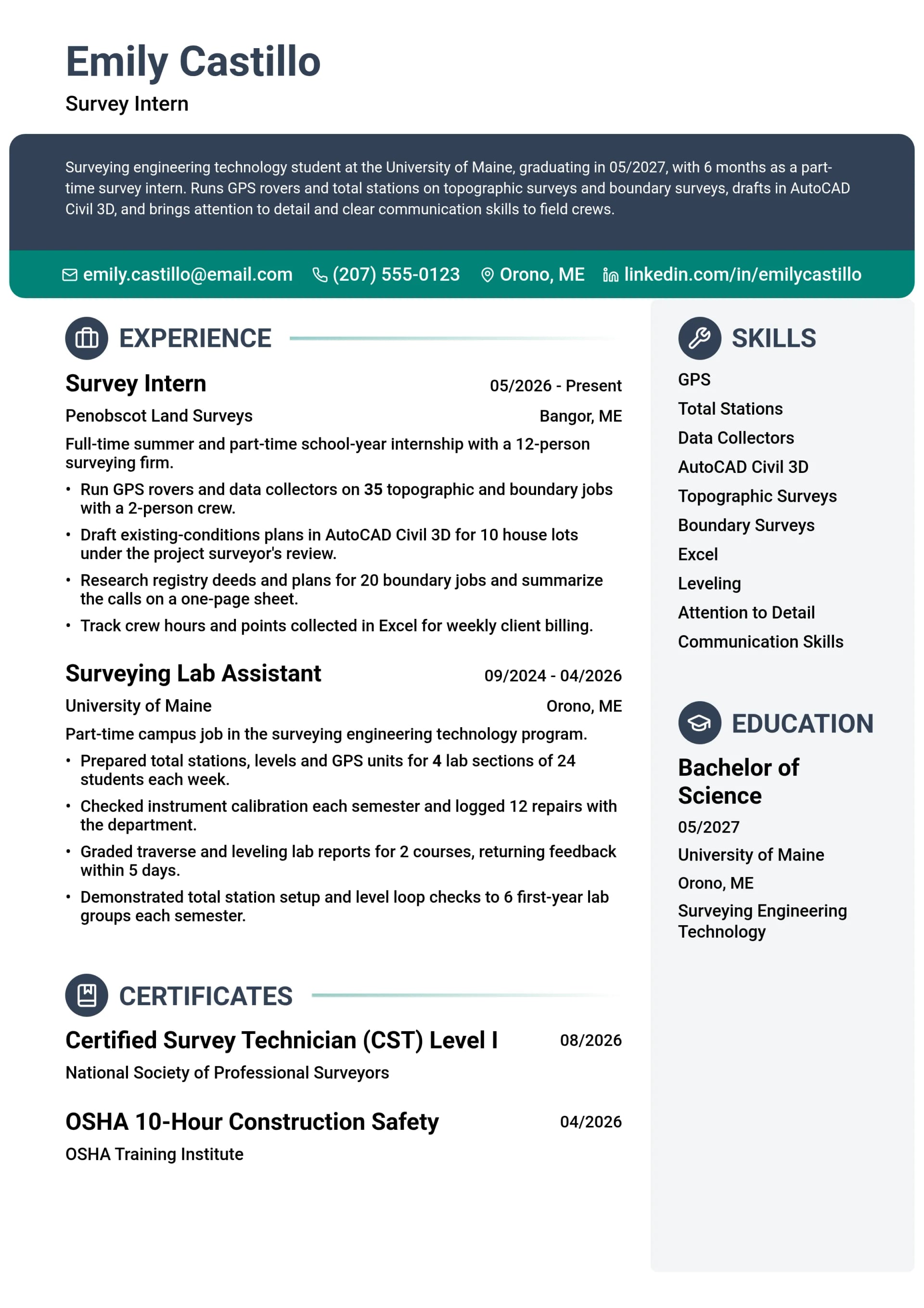 Survey Intern resume example