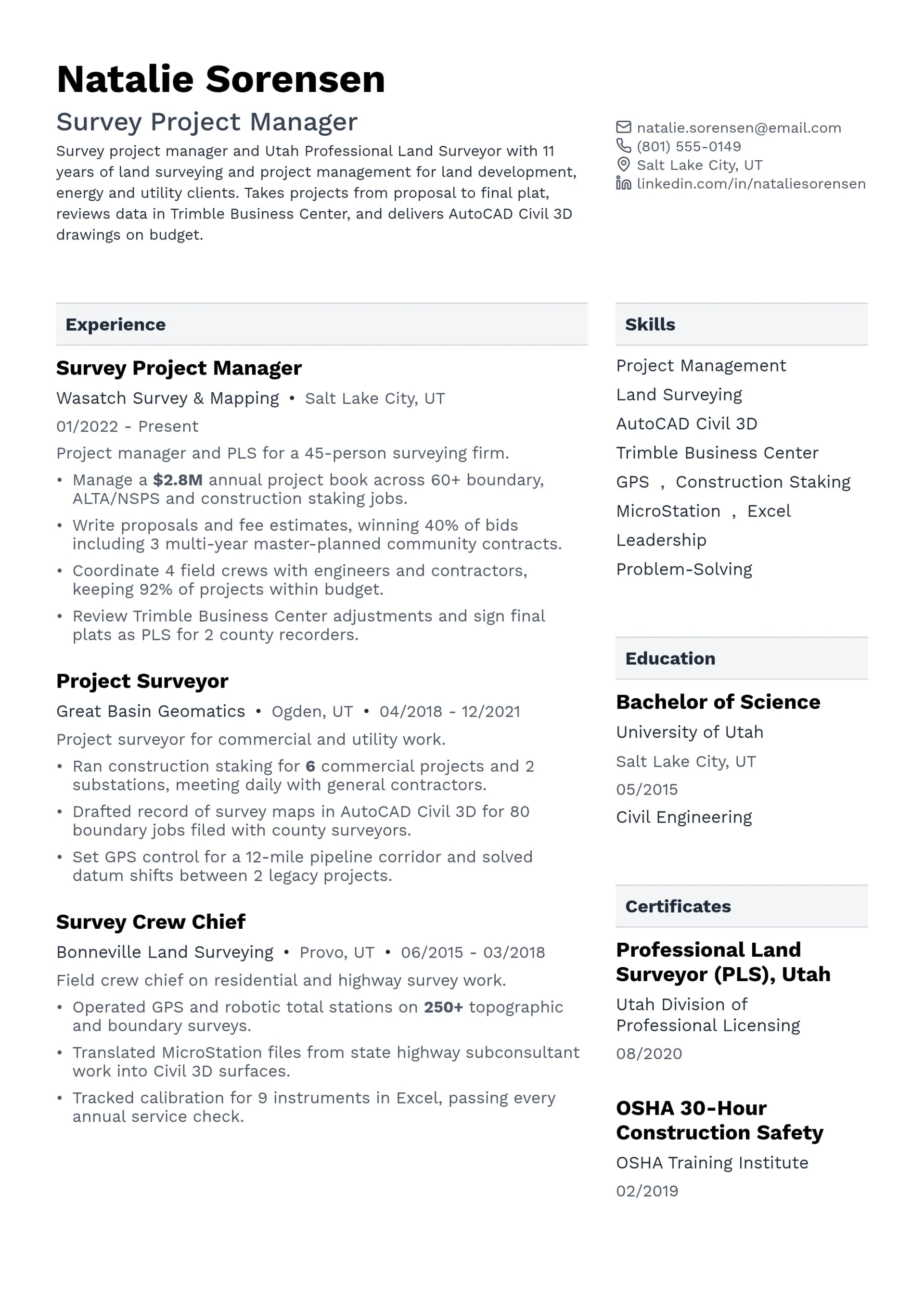 Survey Project Manager resume example