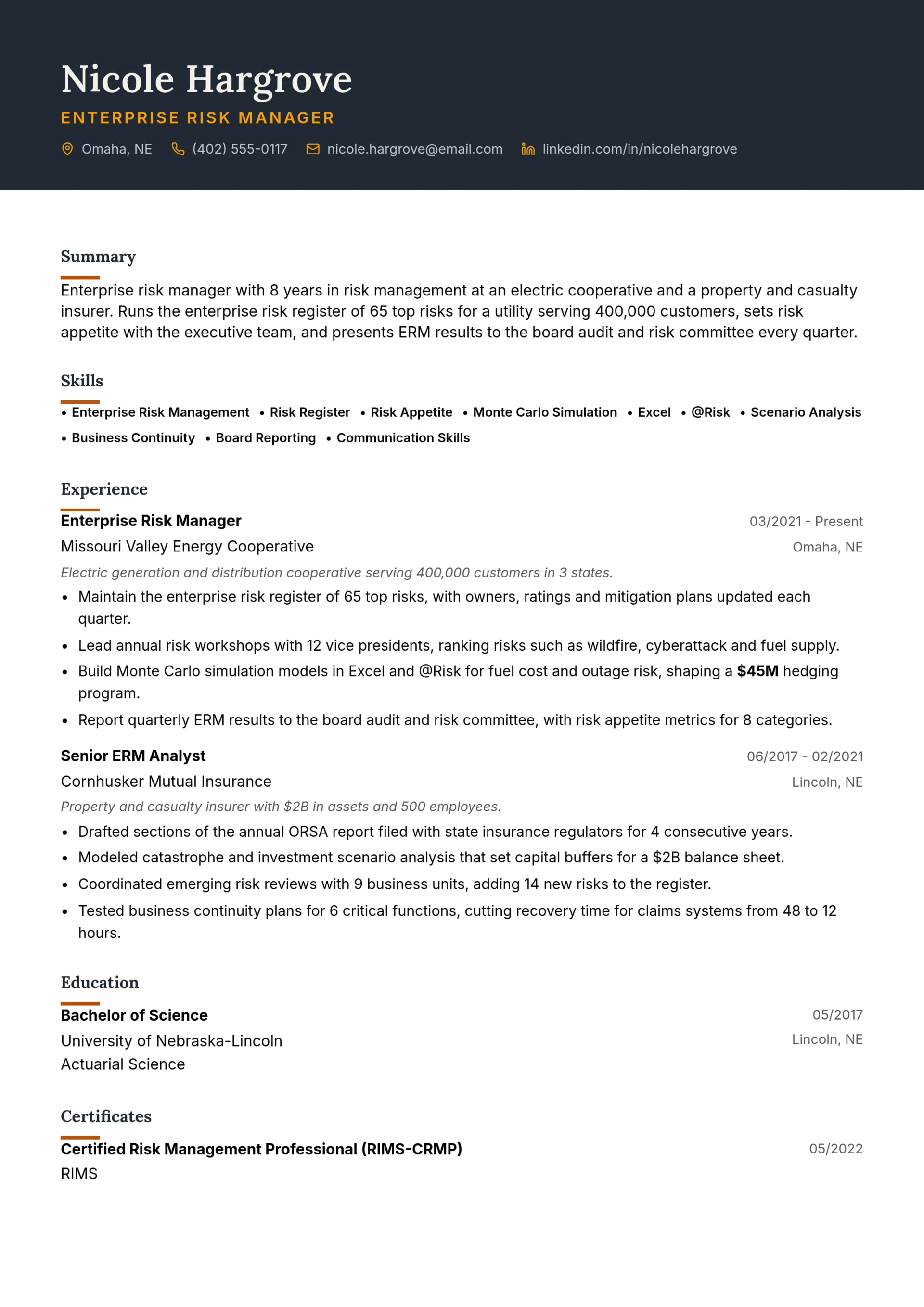 Professional Risk Resume Example Risk Manager Resume Examples for 2026 (12 One-Page Samples)